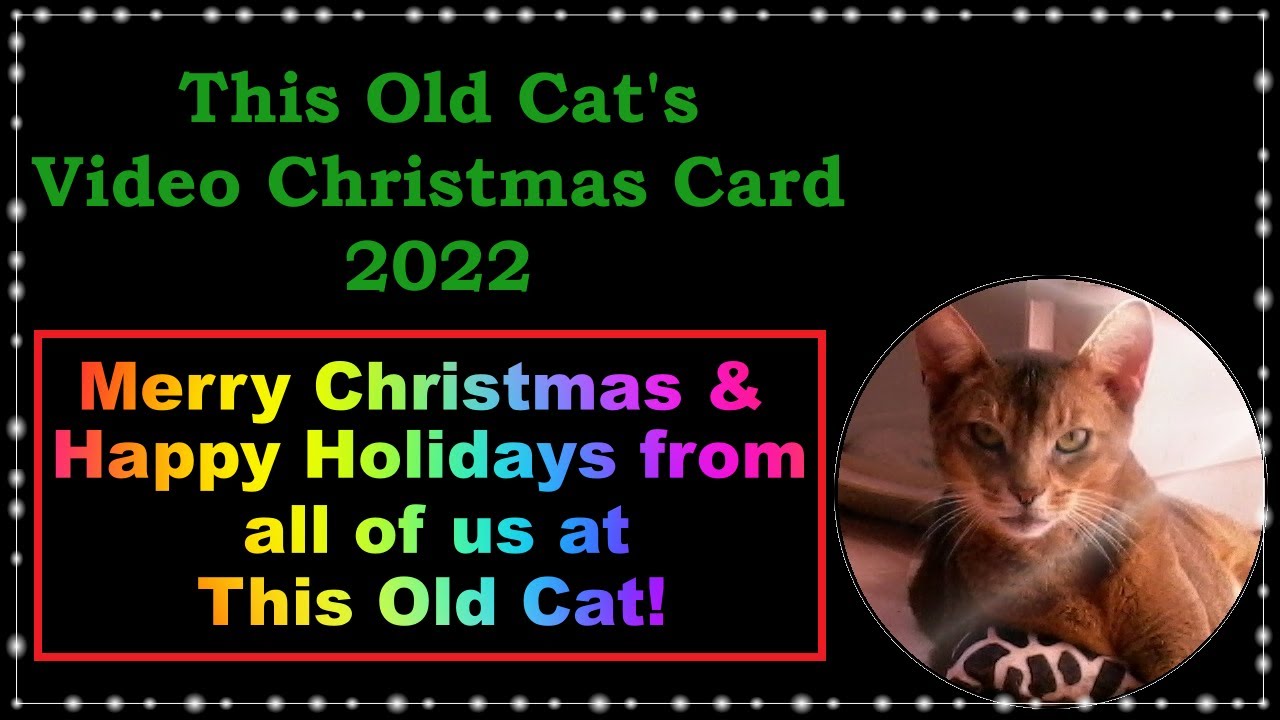 Video Christmas Card 2022 The Sunshine Home at This Old Cat HD