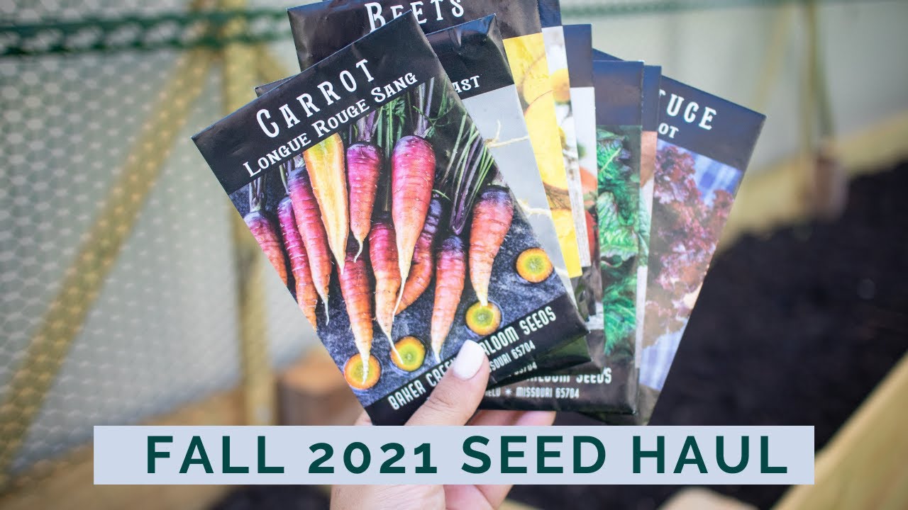 Fall 2021 Seed Haul | What I'm Growing