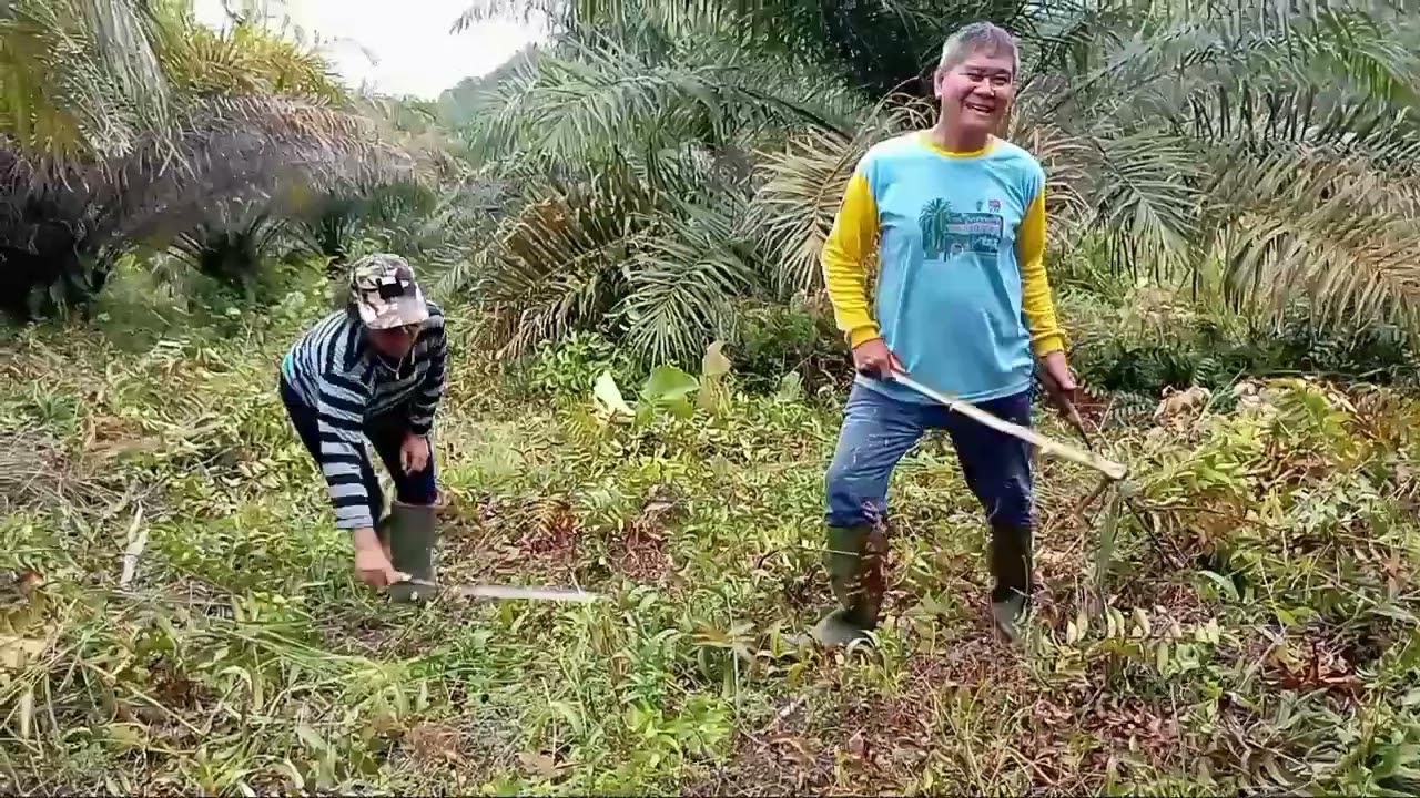 LAGU DAYAK DESA KUNYIL - TOKLAH CERITA IDUPKU