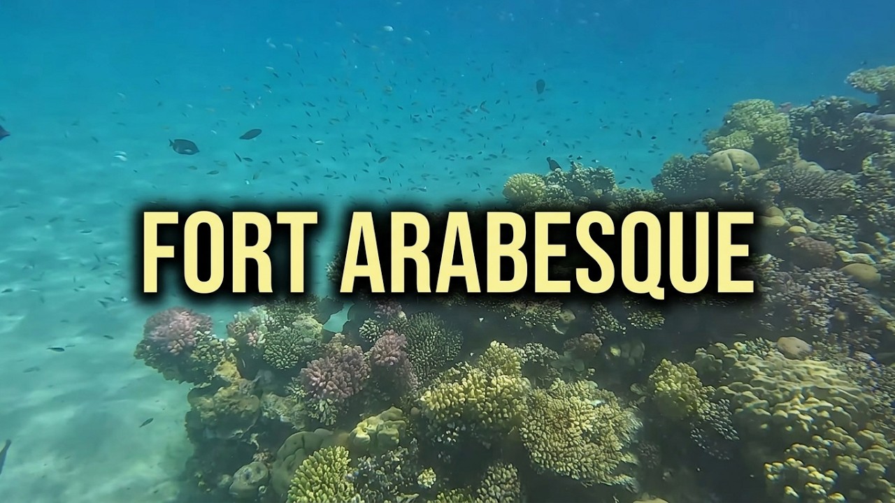 Fort Arabesque Makadi Bay, Coral Reef, GoPro 10, 4K