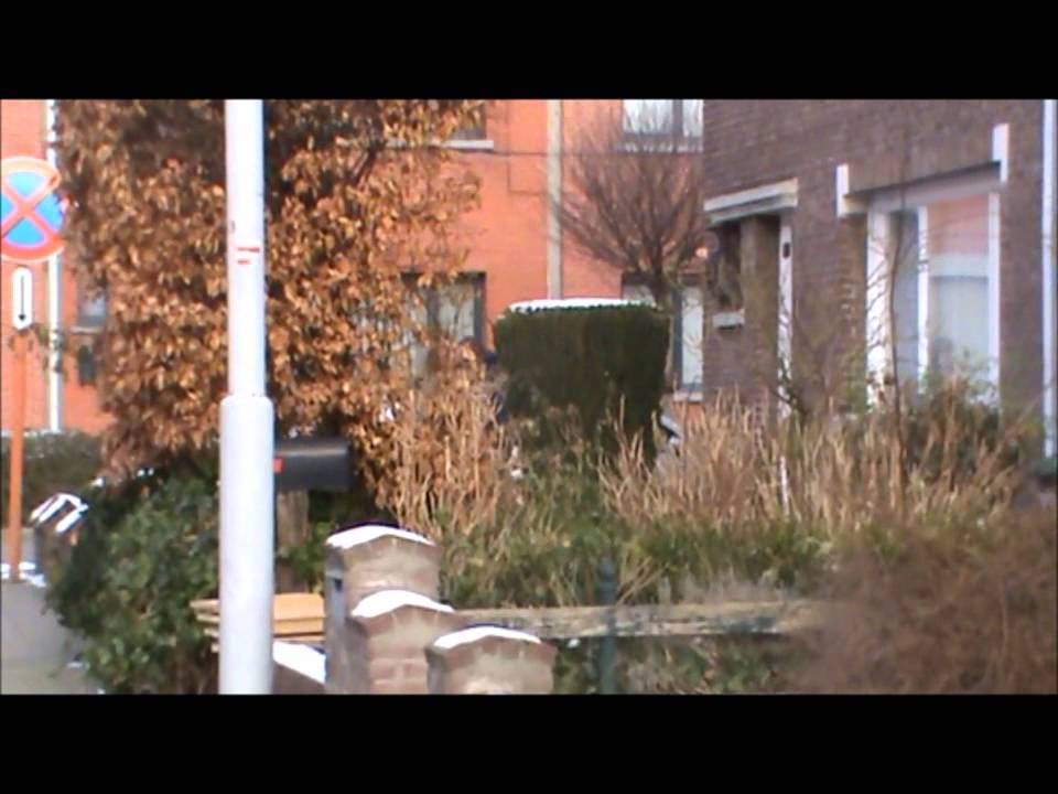 FILMPJE TEGEN PESTEN