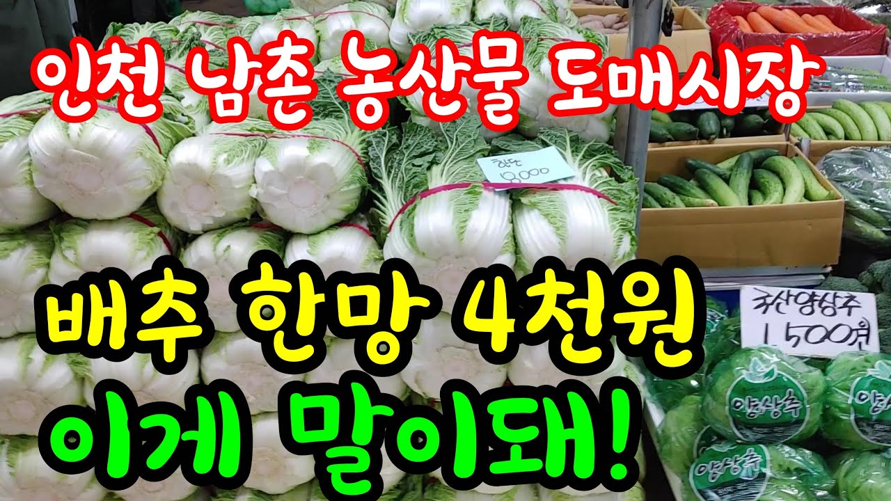 야채값이 너무 많이 떨어져 우는 농부님들이 많을거같아 안타깝네요
