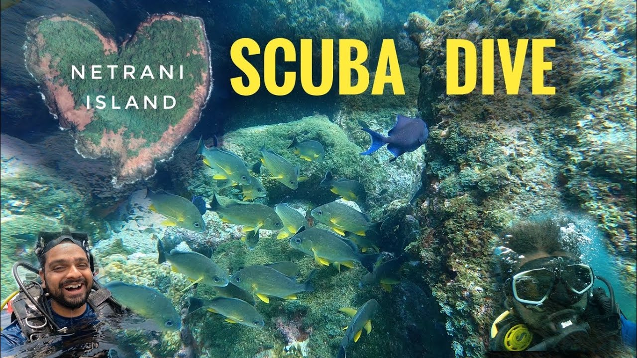 Scuba Diving in Netrani Island | Murdeshwar | Karnataka | India | Go Gannya @netraniadventures3674