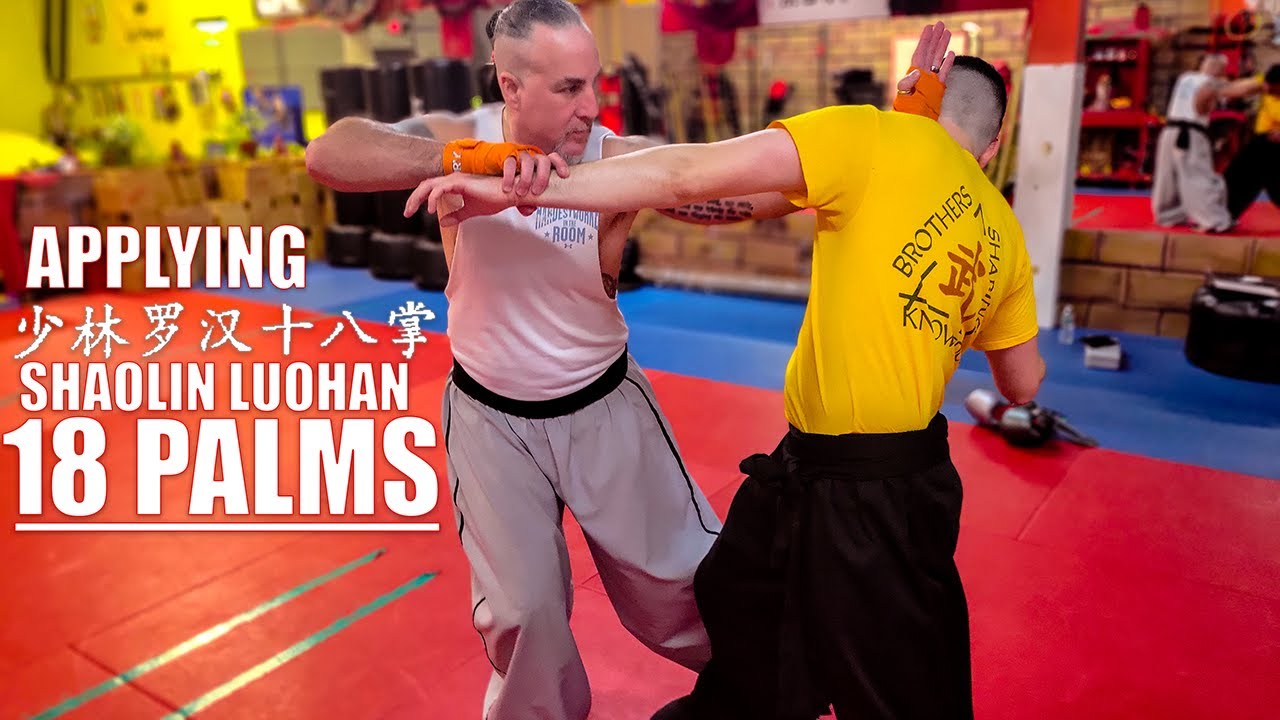 Form and Function: Shaolin Luohan 18 Palms