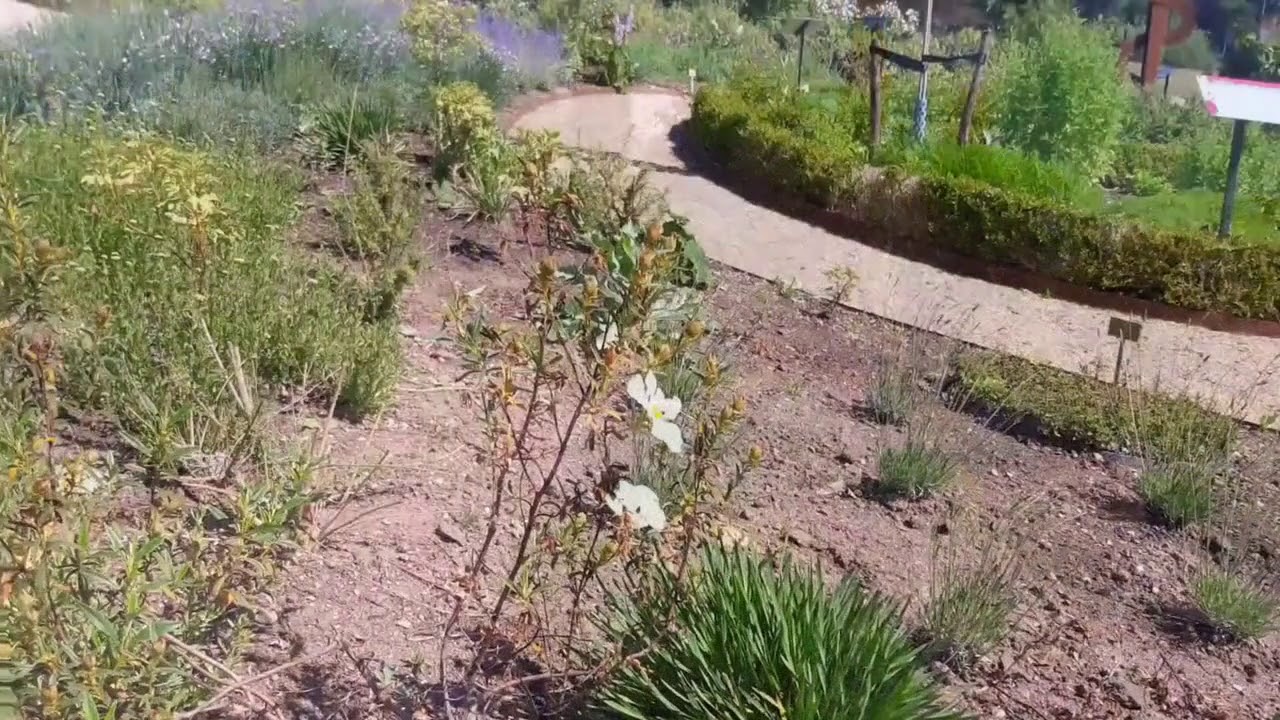 De Ontdektuin