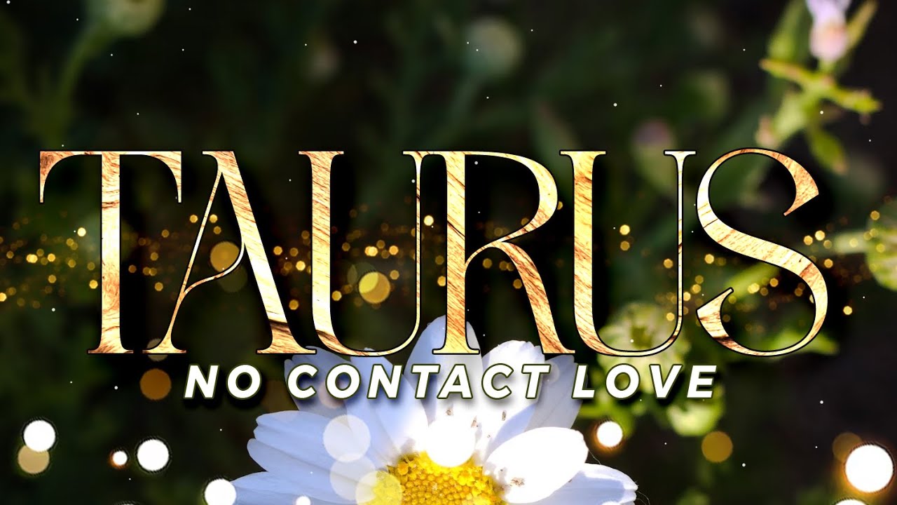 TAURUS No Contact - They Still See This As A Soulmate Connection | Aug27-Sep2 
