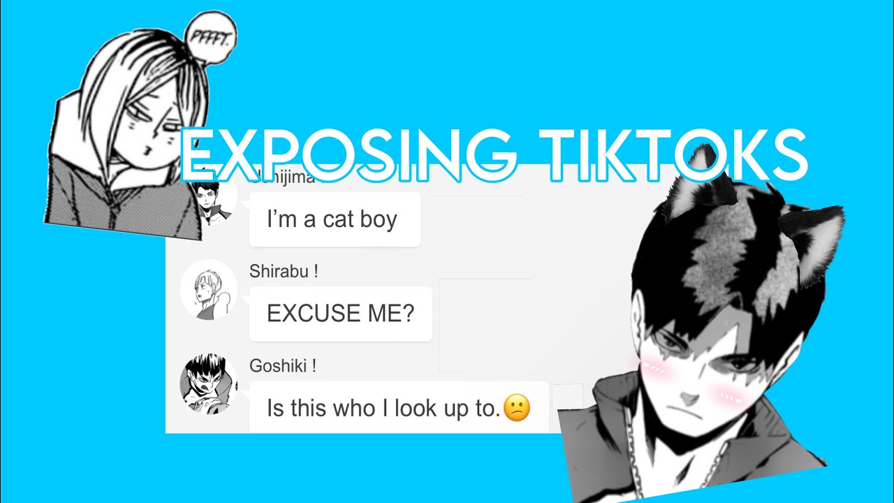 [🦋] Exposing TikTok’s pt 2 || PLEASE READ DESC!!🩵 || Haikyuu/hq texts.