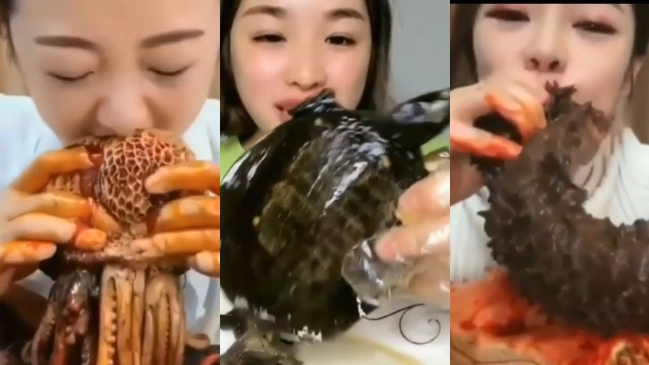 Seafood Mukbang ASMR | Rare/ Weird Chinese Seafoods Compilation 3
