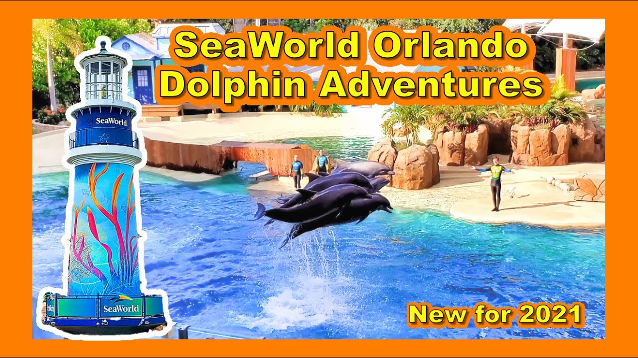 SeaWorld Orlando - Dolphin Adventures Show