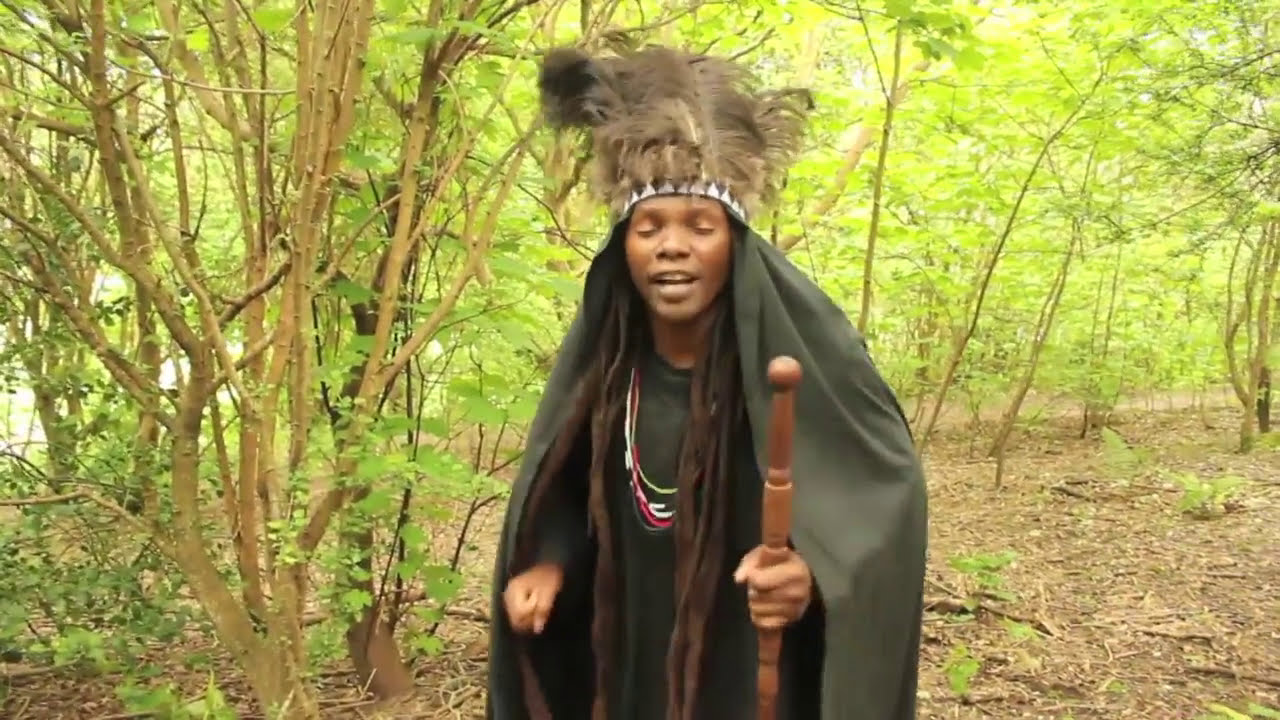 Linos Wengara Magaya - Unofa Uchitambura - Zimbaremabwe, Zimbabwean Mbira Music (2014)