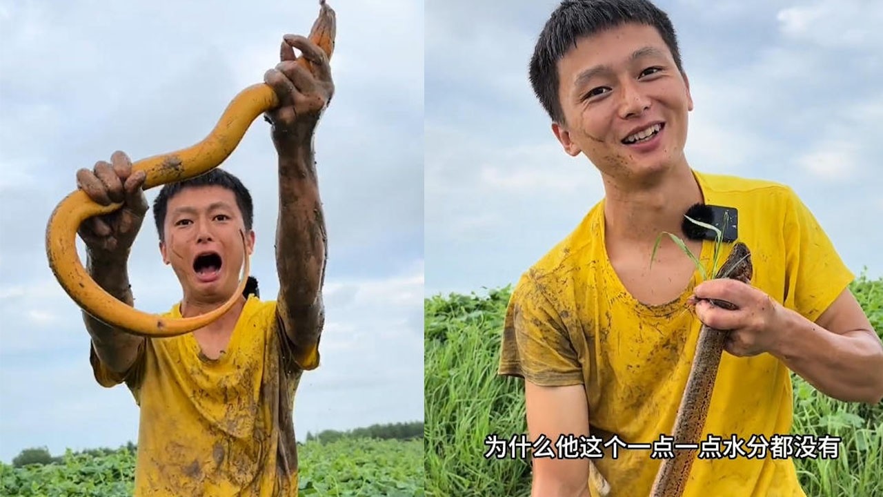 這條有沒有壹斤，這個絕對有壹斤#农村生活 #软饭硬吃 #搞笑 #fishing #outdoors