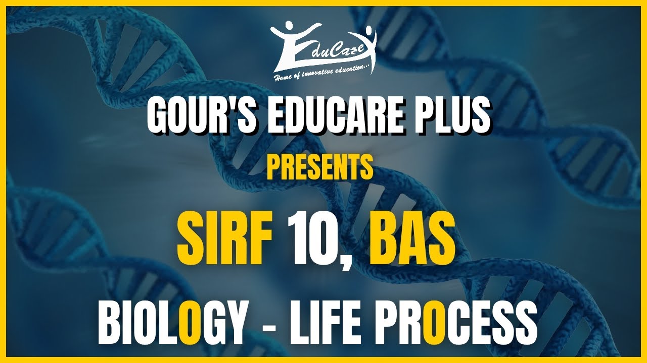 Class 10 CBSE Biology LIFE PROCESSES | Complete Chapter in Just 10 Questions | Board Exam 2026