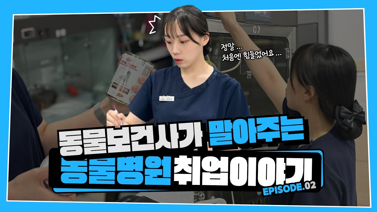 동물보건사 되는 방법 2탄이 돌아왔다?!