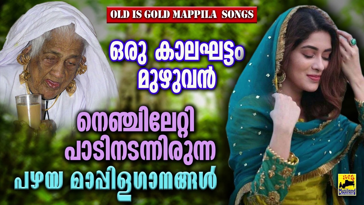 Pazhaya Mappila Song | old is gold Songs | പഴയ മാപ്പിളപ്പാട്ടുകൾ | Old Mappila Pattukal Malayalam