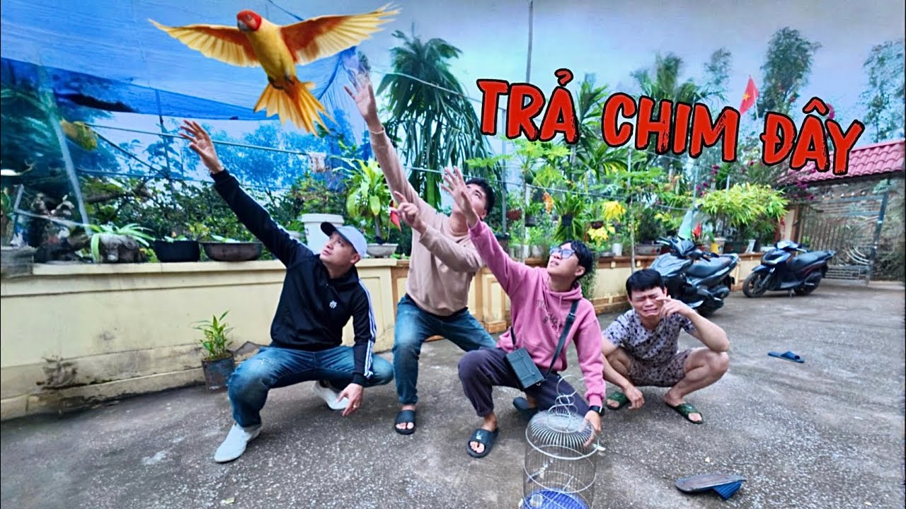Toàn Ngơ Cùng Dương KC Troll Thả Mất Chim Quý Khiến Ngọc TB Khóc Thét