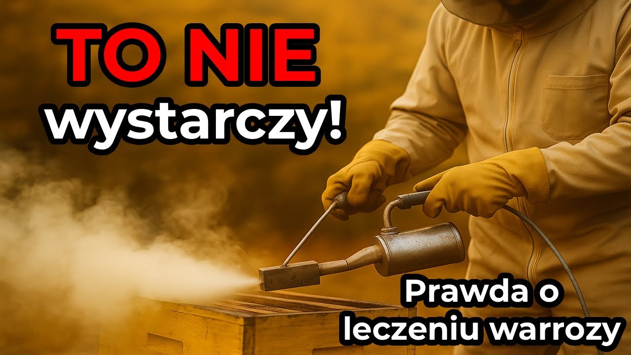 Jesienny zabieg na warrozę to za mało!