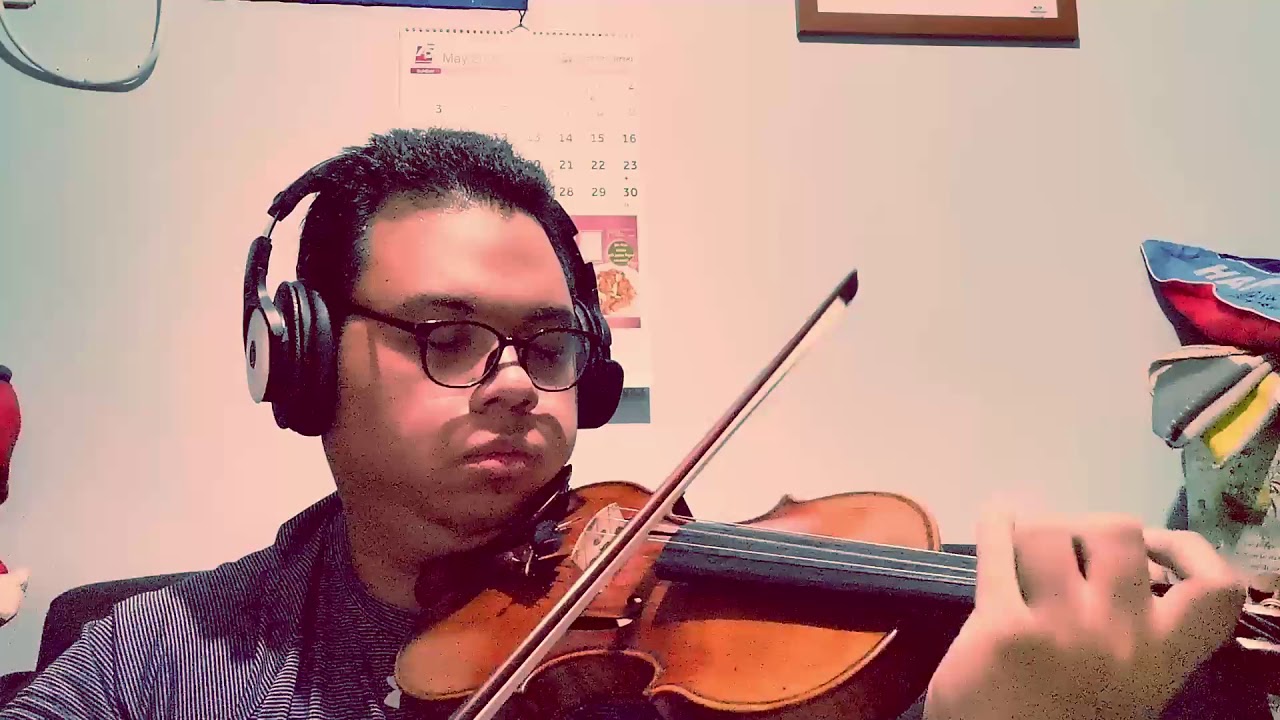 Cherry Wine - Hozier Violin Cover