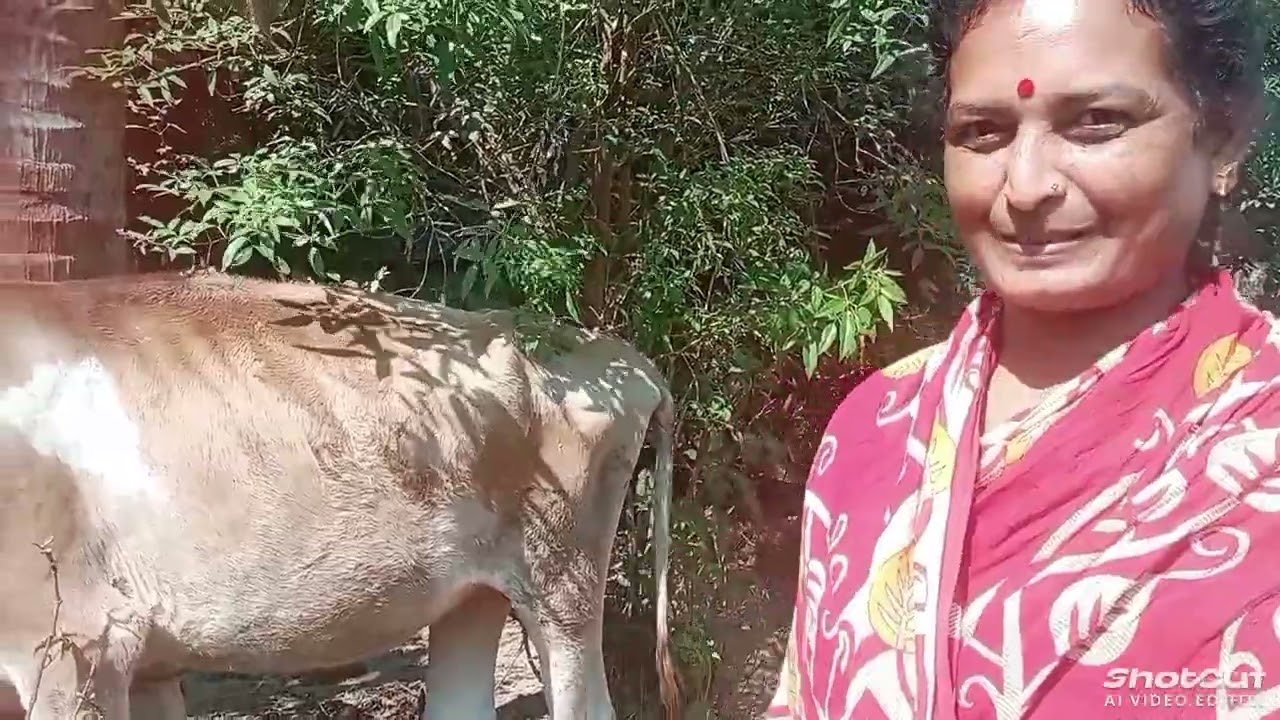কালিকে কি কি ওষুধ দিলো? # বাড়িতে নতুন সদস্য এলো#viral##video