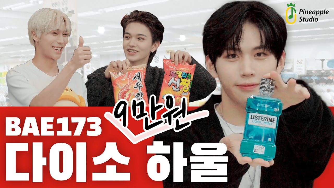 5월은 쇼핑의 달, 다이소 하울 메이트 BAE173 발견 🙌 [TMI] | PineAppleStudio