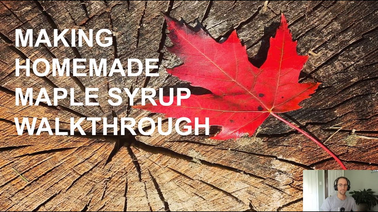 How to make real maple syrup at home