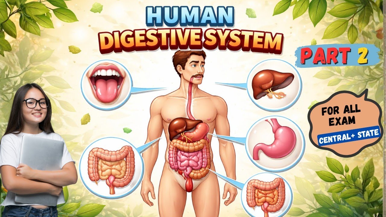 মানুষের পাচনতন্ত্র ( Human Digestive System) || RRB NCERT + PYQ MCQ || Railway 2024 ||