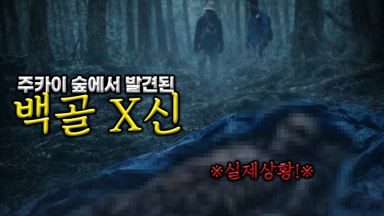 재업로드) 일본 주카이숲 X존에서 살아남기 ... 과호흡옴... #haunted #ghosthunting