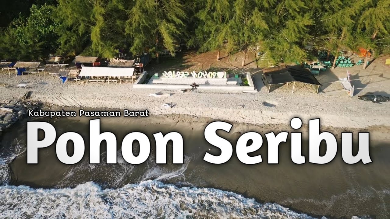 Sasak Beach - Pohon Seribu ( Thousand Trees ) #visitingsumbar