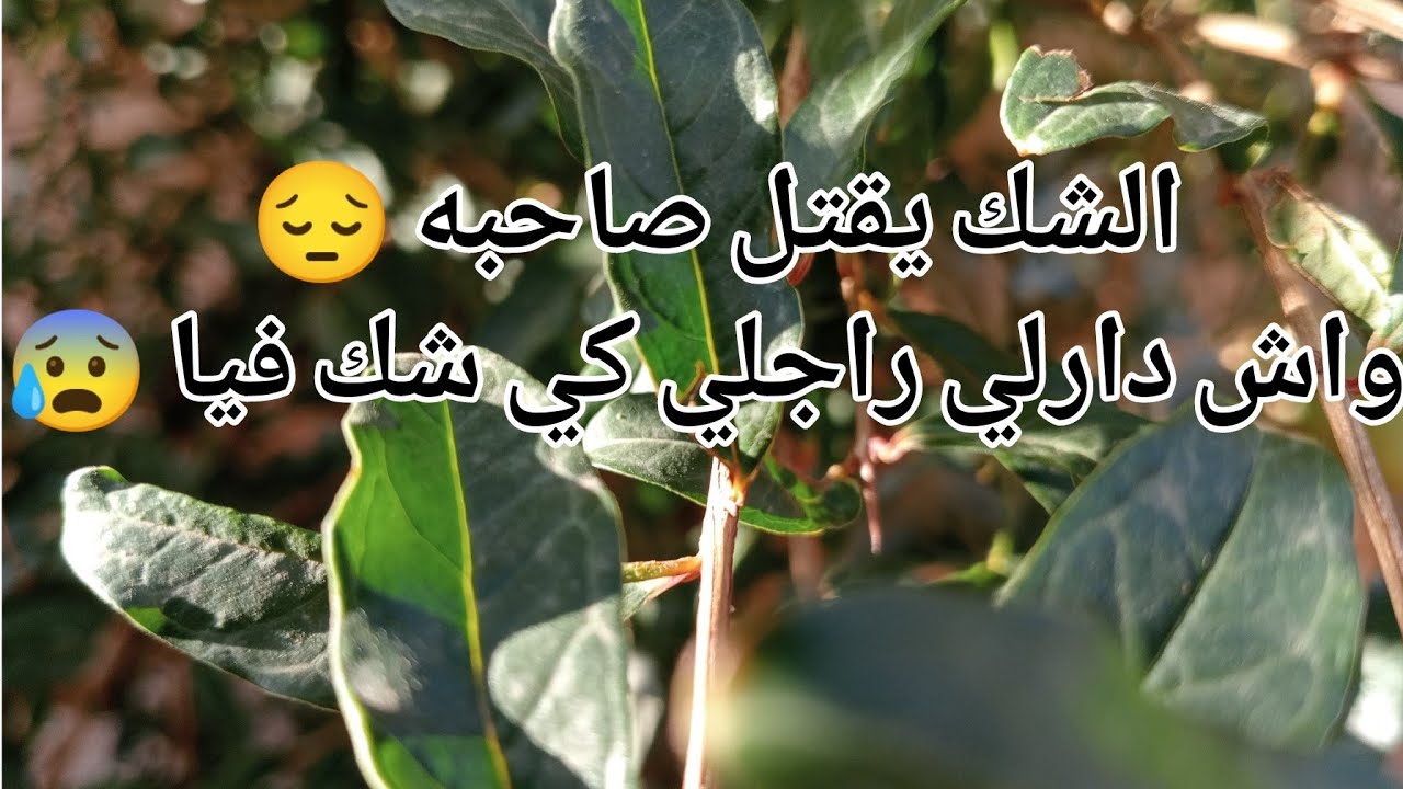 الشك يقتل صاحبه 😔 واش دارلي راجلي كي شك فيا 😰
