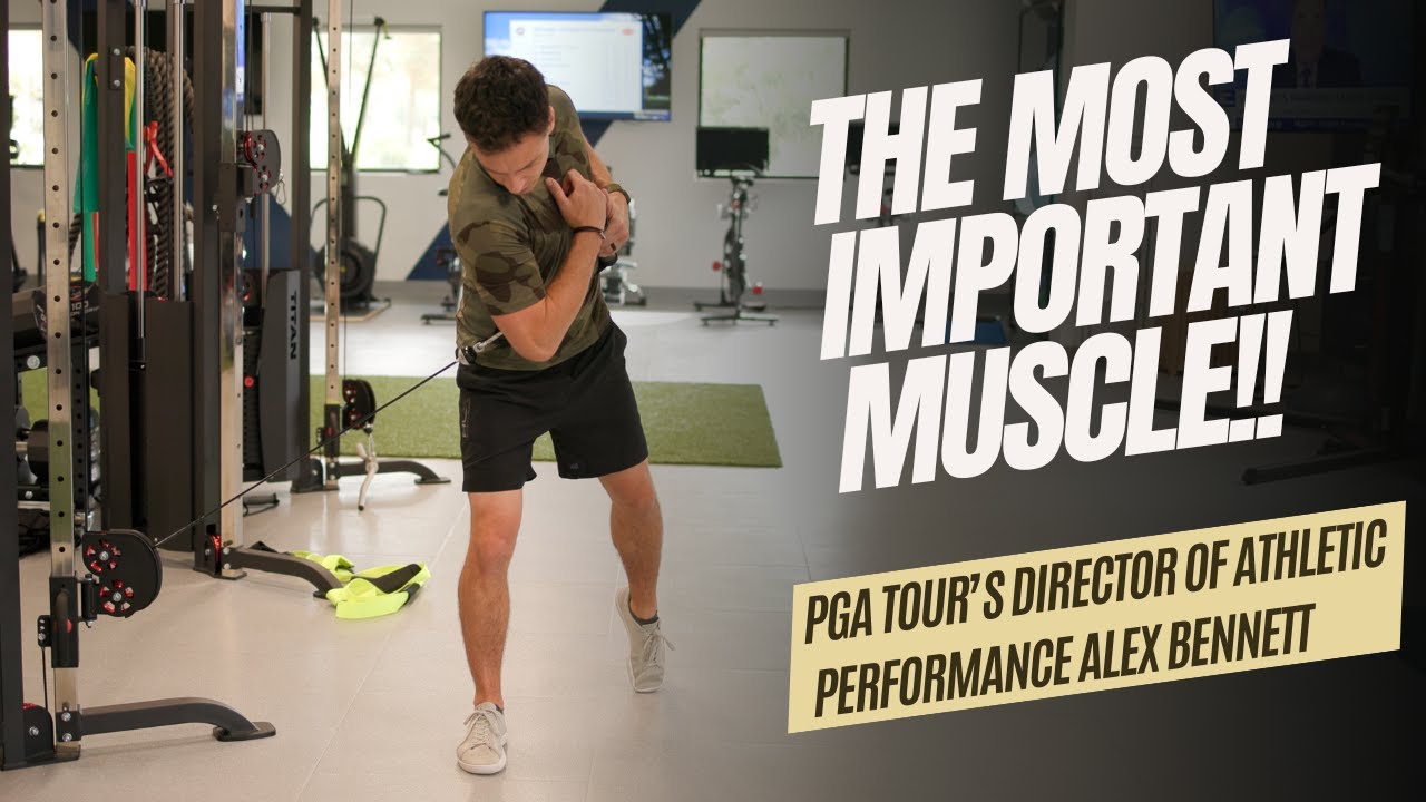 The Most Important Muscle You Aren't Working!