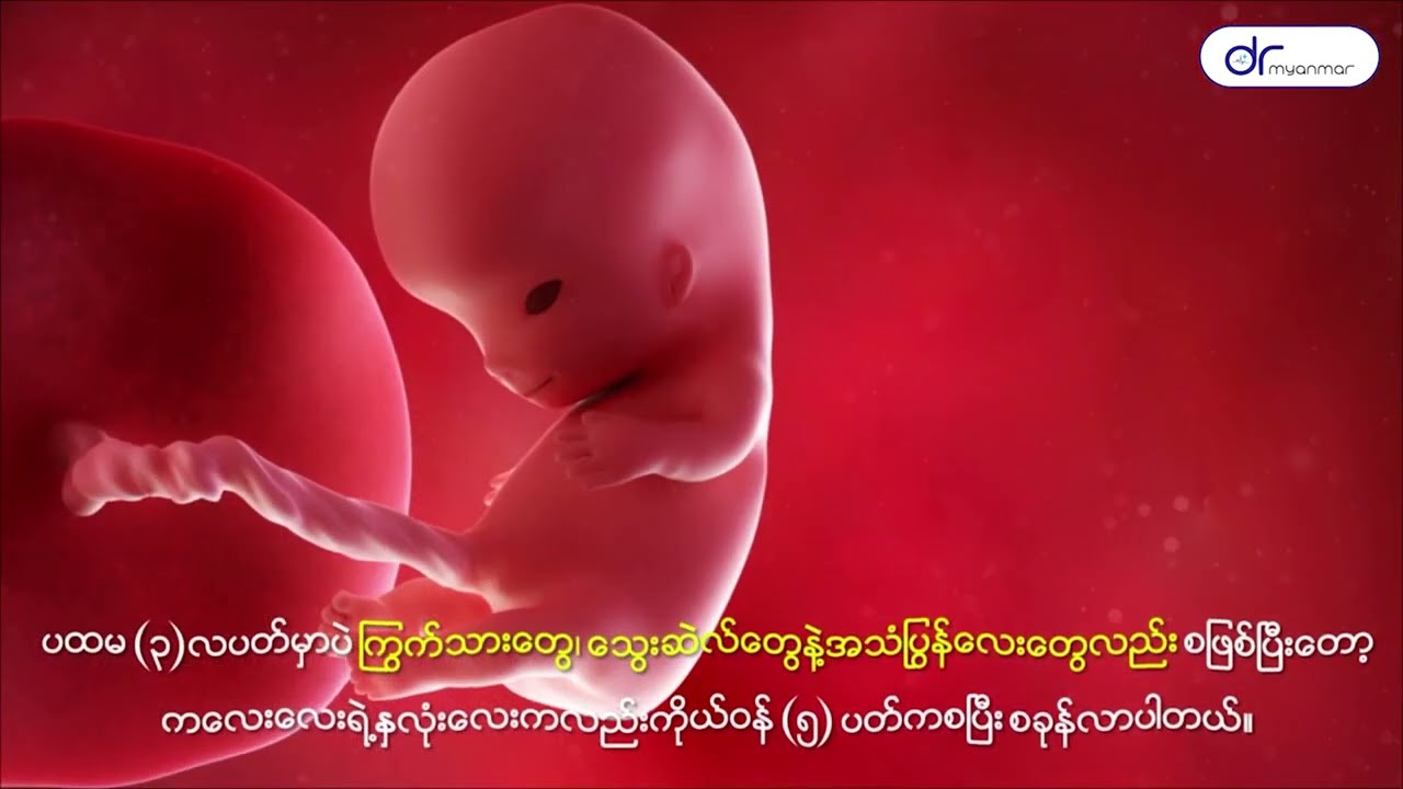 ကိုယ်ဝန်ဆောင်မေမေတို့ သိထားသင့်သော ကိုယ်ဝန်ပထမ (၃) လ အကြောင်း