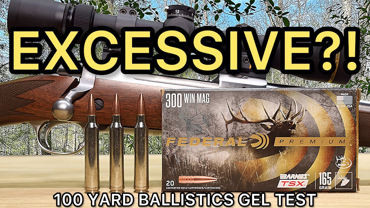 300 Winchester Magnum Barnes TSX Ballistics Gel Ammo Test