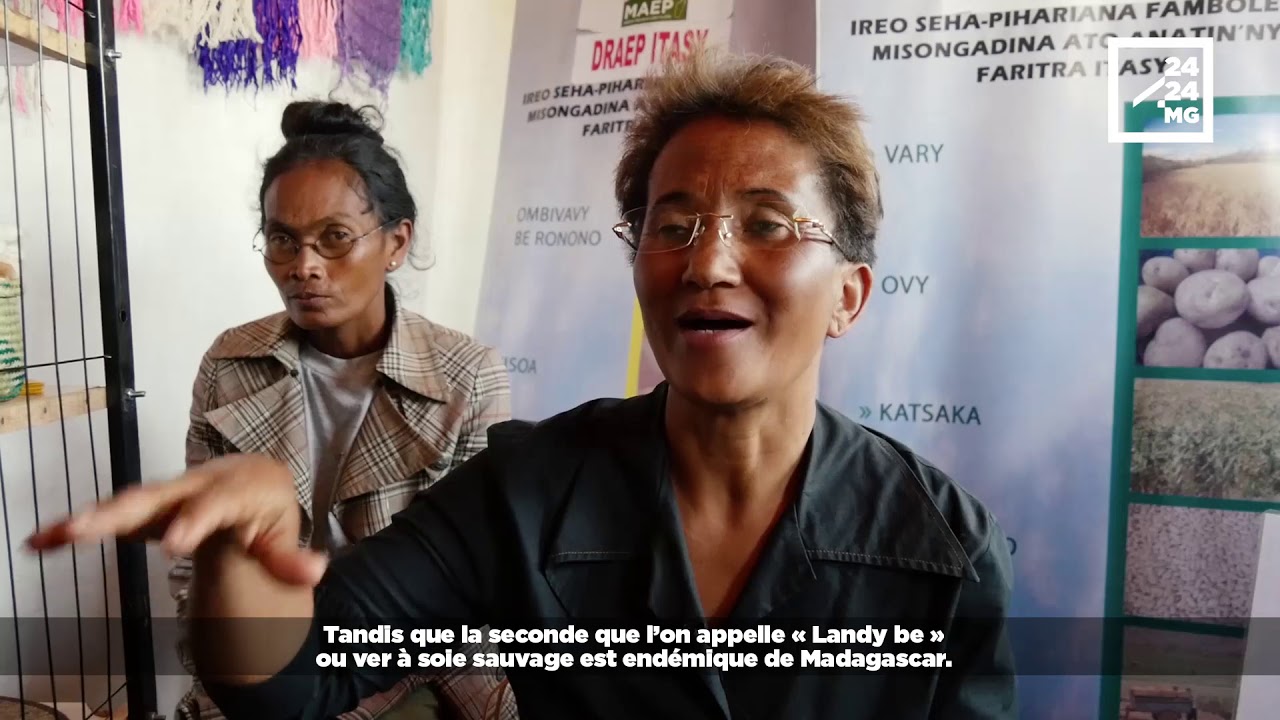 ARTISANAT : LA SÉRICICULTURE FAIT VIVRE DE NOMBREUSES FAMILLES À MADAGASCAR