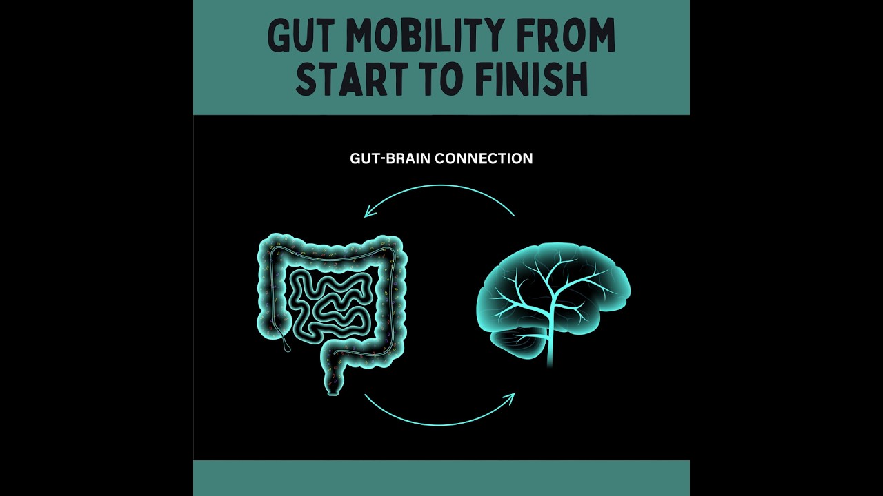 Gut Mobility From Start to Finish: The Gut-Brain Connection Explained