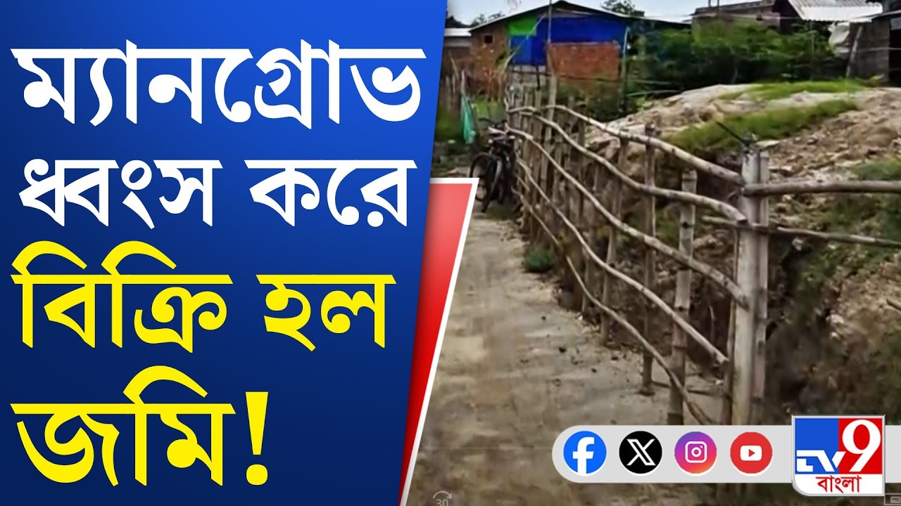 Sundarbans Land Scam, Mangrove: প্লট করে জমি বিক্রি হয়েছে সুন্দরবনে!