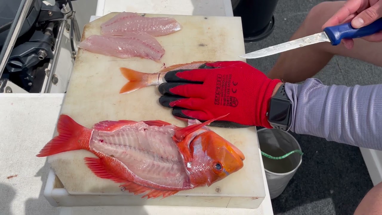 Mission to find new reefs in False Bay
