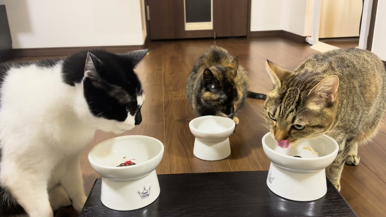 1751 20260123 朝ごはん Enjoy your meal, Bon appetit