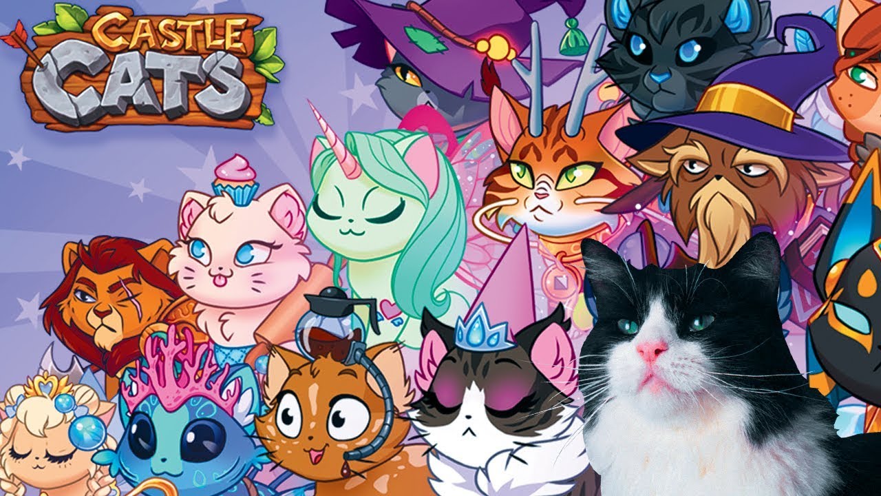ПЕРВЫЙ ВЗГЛЯД НА CASTLE CATS | ЦЕЛАЯ АРМИЯ КОТИКОВ!