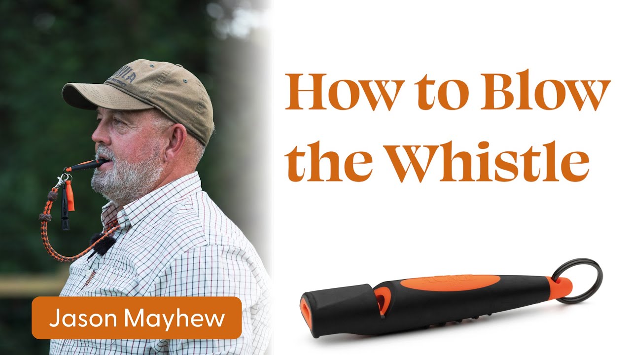 How to Blow the Whistle