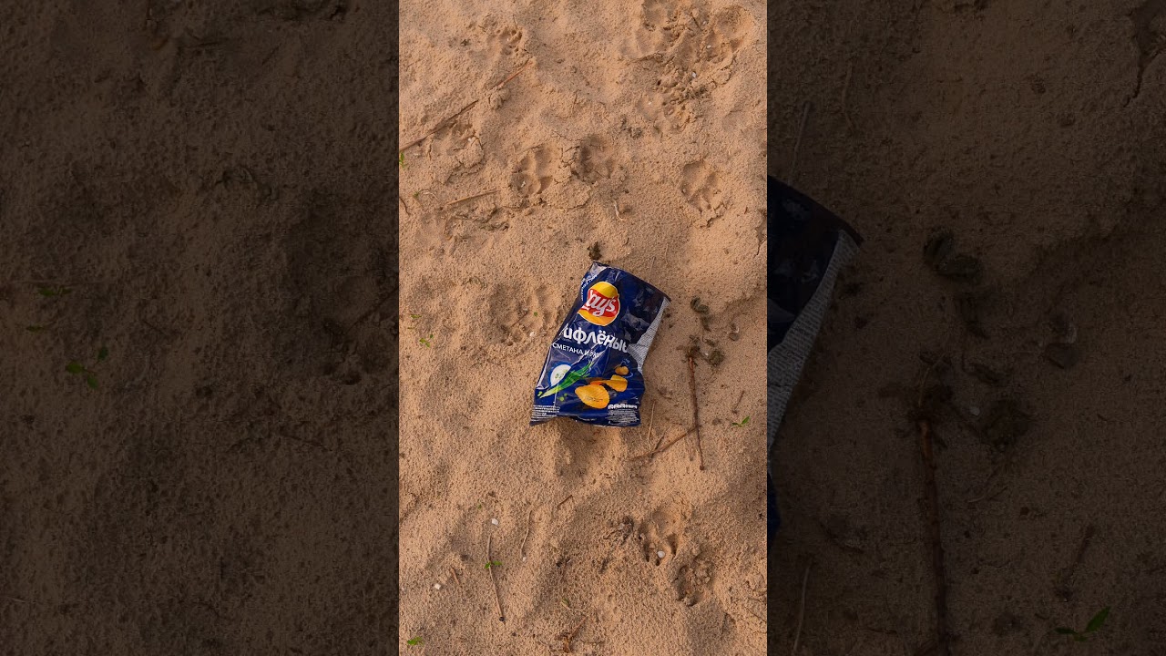 Сад земных отходов: хроники Тихого вторжения. Из коллекции «Незапланированное наследство».