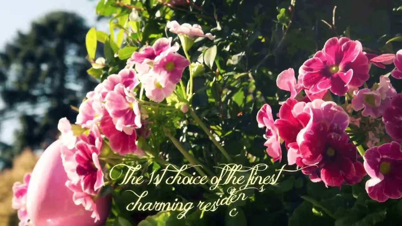 Jardinier du Roi,  manufacture Versailles planter boxes, French planters
