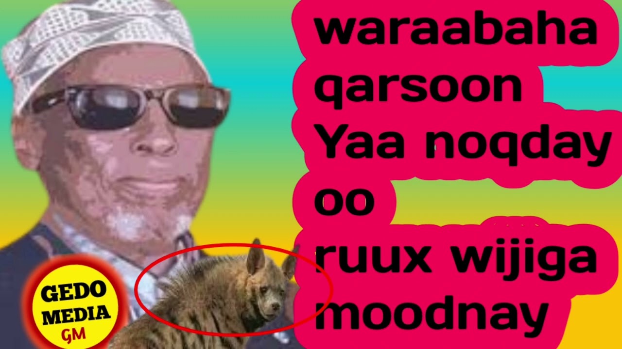 #dhoodaan