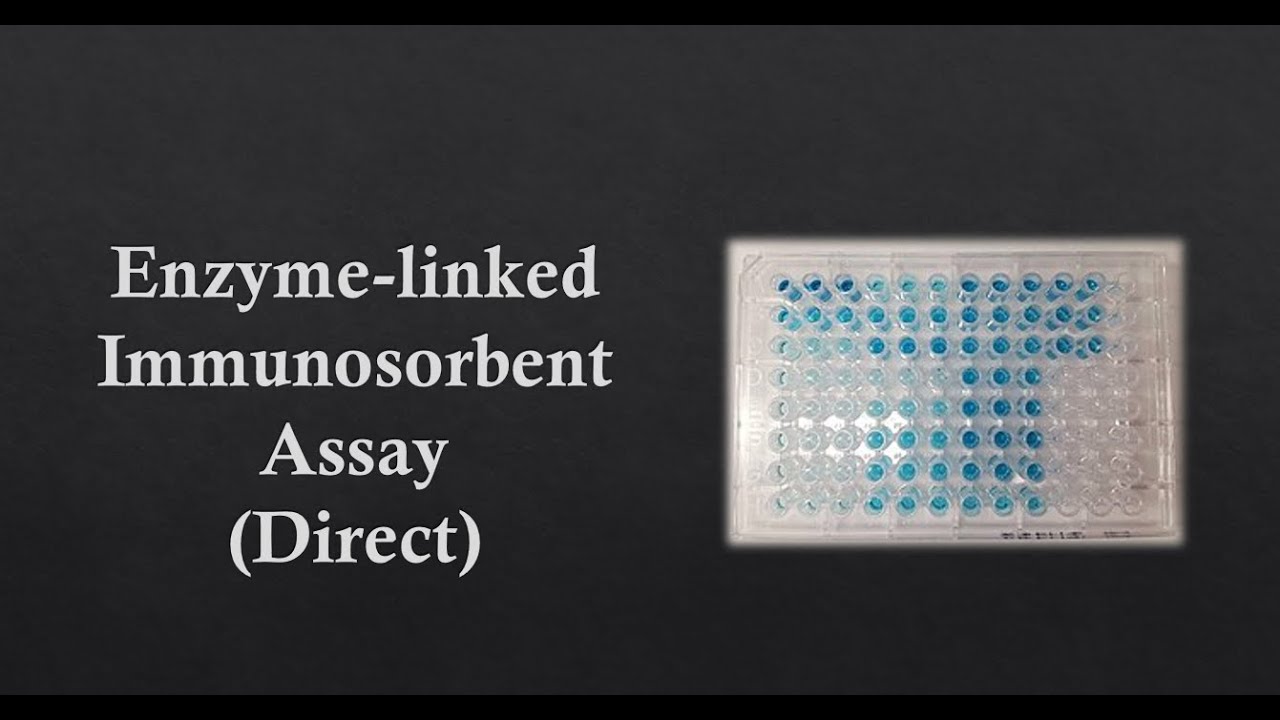 Direct ELISA