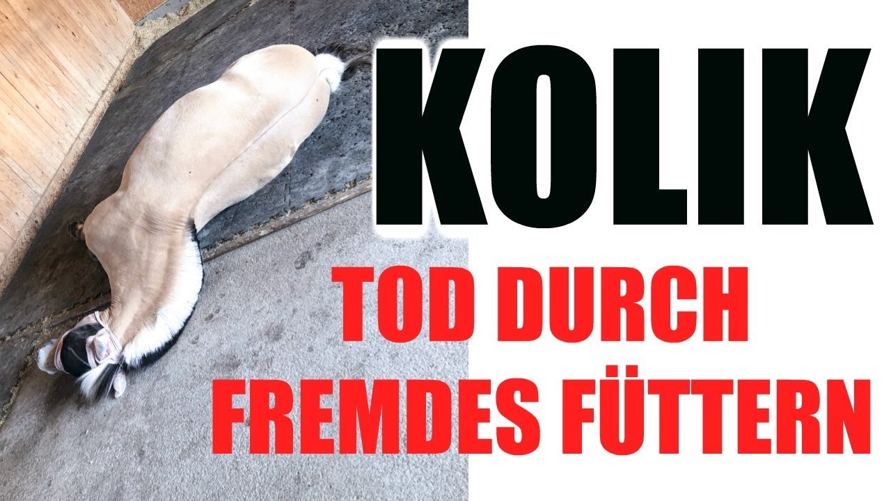 KOLIK PFERD STIRBT WEGEN FREMDES FÜTTERN