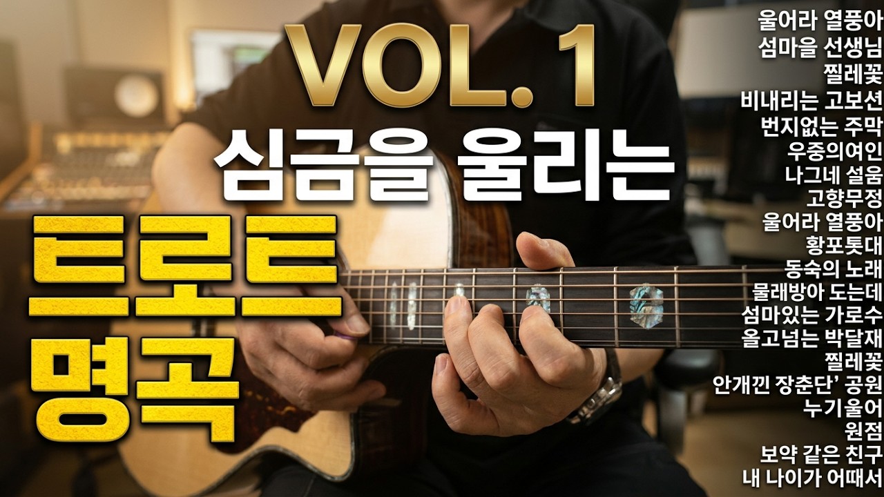 트로트 기타연주곡 모음 (1-1)  1집 가사삽입 재편집 울며헤진 돌아가는 애수의 고모령 호남선 고향무정 열풍아 황포 흑산도아가씨 섬마을 살아있는 검은나비 동숙의 #기타연주이연호