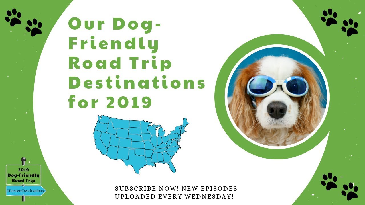 Dog-Friendly Road Trip Ideas | Dexter The Dog's 2019 US Road Trip