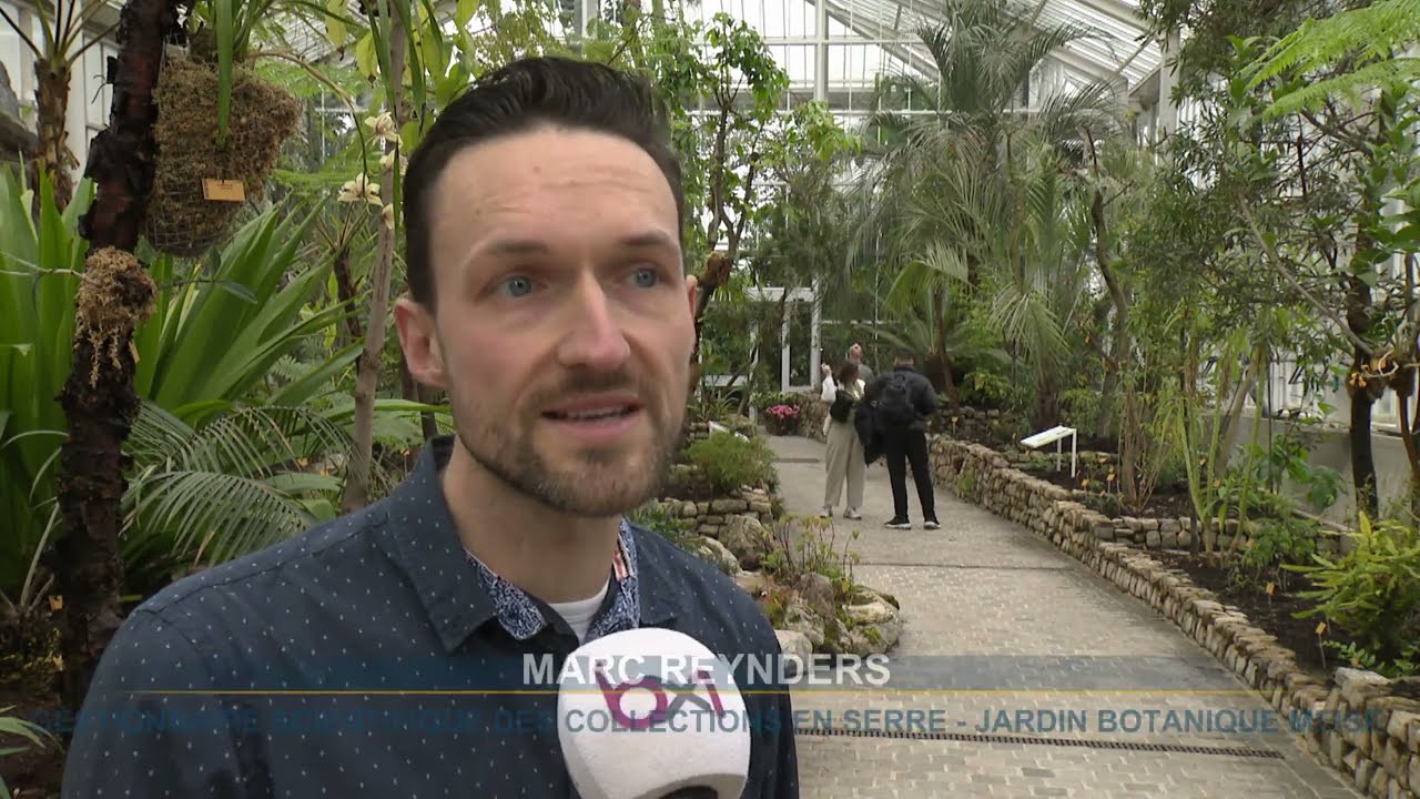 Meise : inauguration de deux nouvelles serres au Jardin Botanique