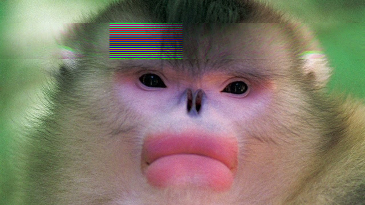 me and my monkey (Clean)