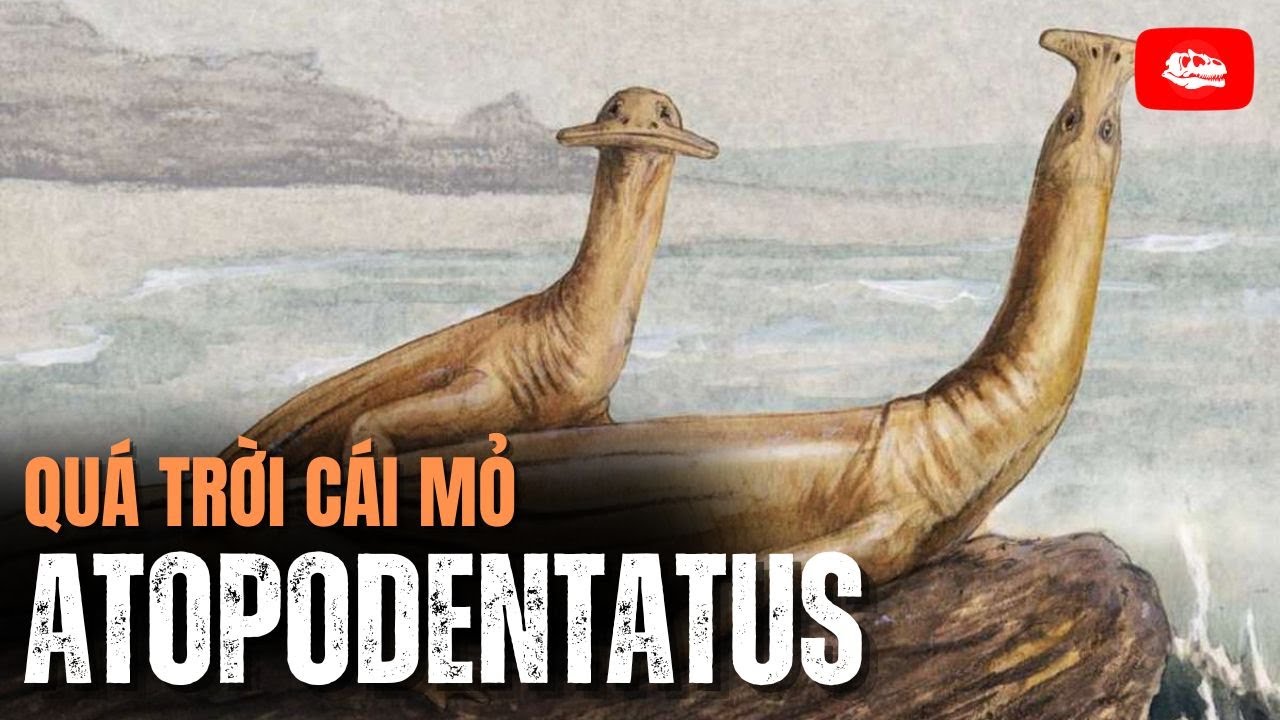Atopodentatus: Bò sát mỏ vịt | Hồ sơ cổ sinh