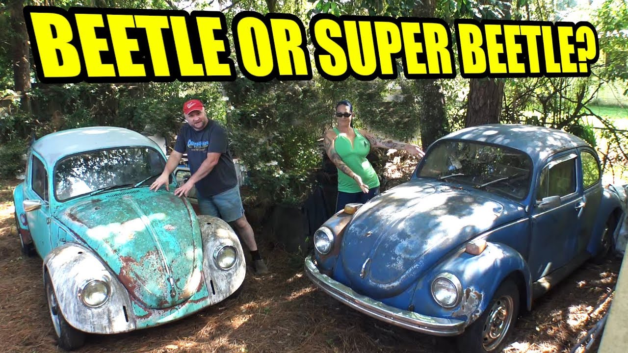 VW Beetle и Super Beetle — в чём разница? — Вопросы и ответы Midday 108