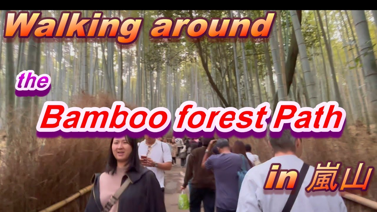 京都 竹林の小径に世界各国の観光客が・・・　Walk along the bamboo forest path in Arashiyama, Kyoto